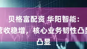 贝格富配资 华阳智能：营收稳增，核心业务韧性凸显
