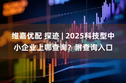 维嘉优配 探迹 | 2025科技型中小企业上哪查询？附查询入口