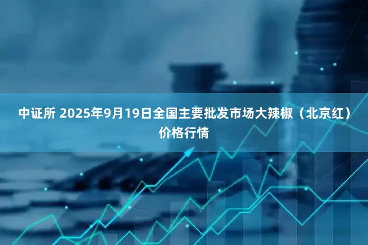中证所 2025年9月19日全国主要批发市场大辣椒（北京红）价格行情